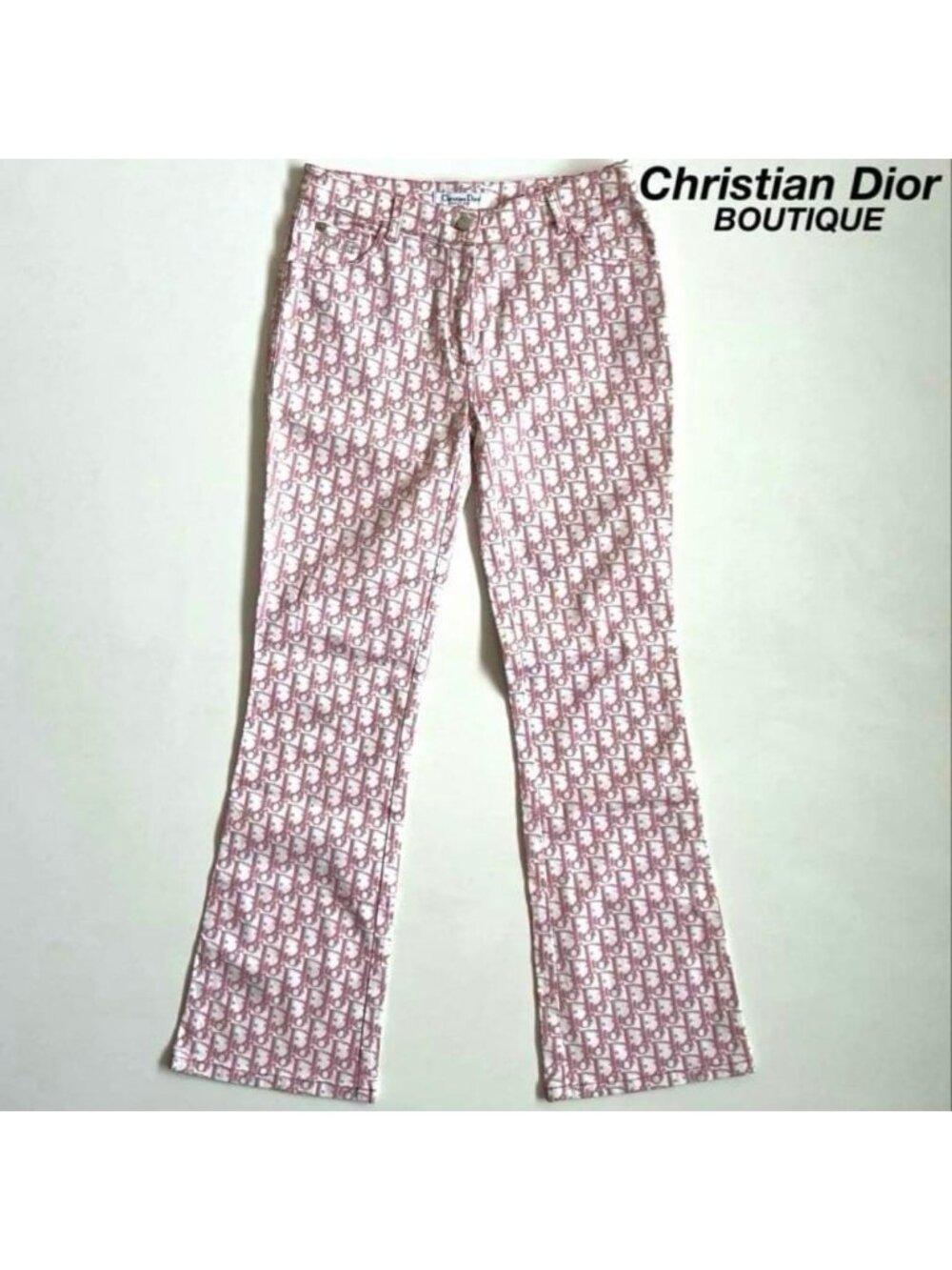 Dior Line Stone Trotter Pants